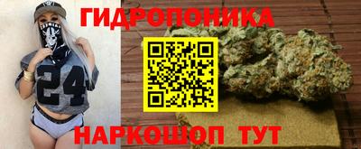 трава Донецк