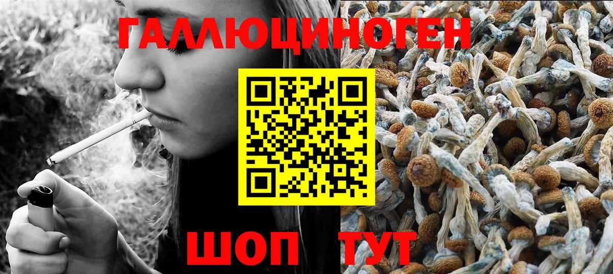 Галлюциногенные грибы мицелий Моздок