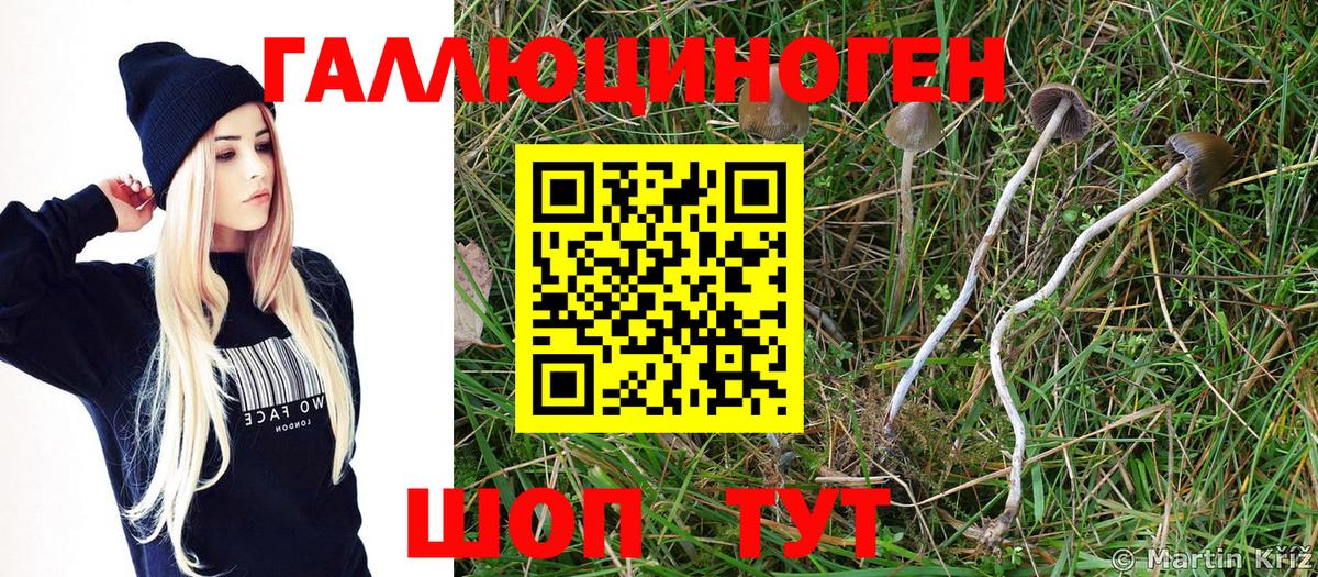 Галлюциногенные грибы мухоморы  Вход с VPN  Моздок 